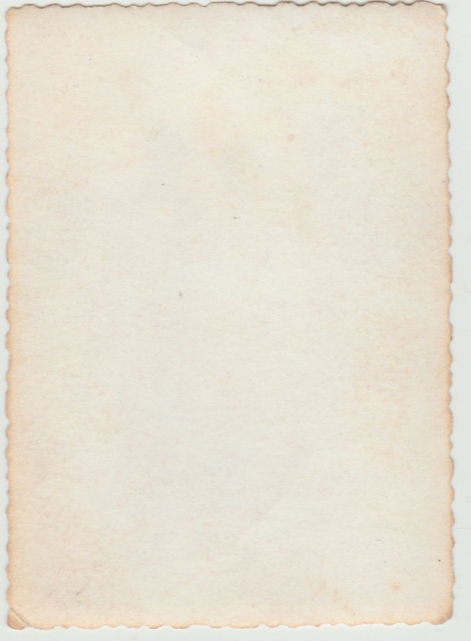 /storage/img/big_gyergyoidia_14230b-bermalkozas-heveder-mono-kultura-egyesulet.jpg