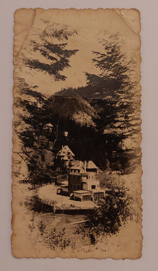 /storage/img/big_gyergyoidia_16337a-mark-villa-gyilkos-to-foto-ambrus-magdika.jpg