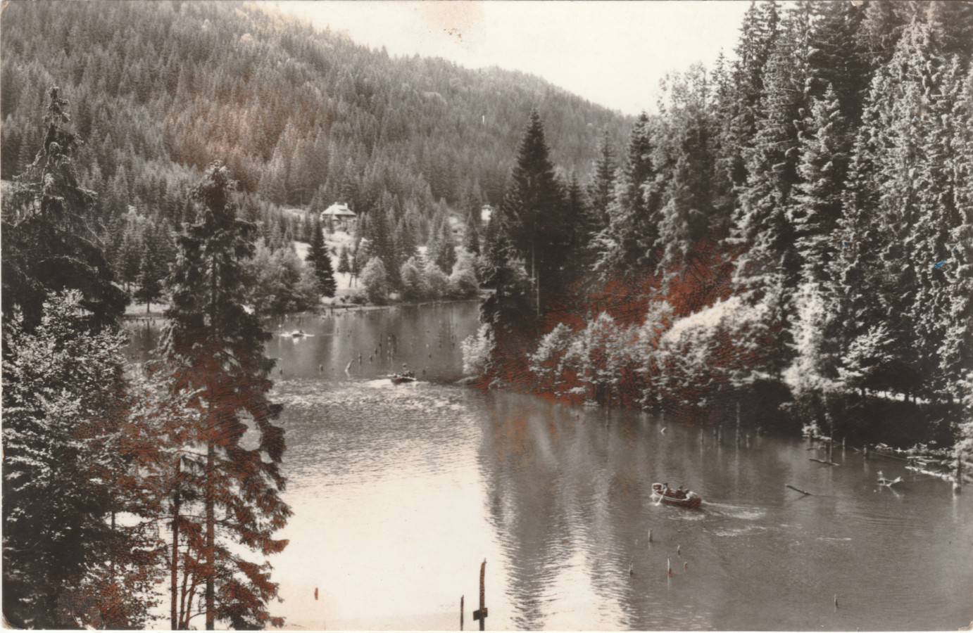 /storage/img/big_gyergyoidia_17363a-gyikosto-mono-kultura-egyesulet.jpg