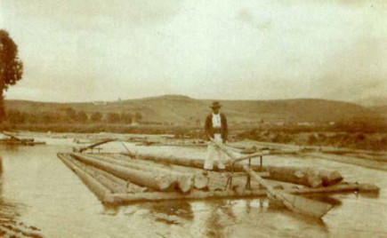 Tutajos