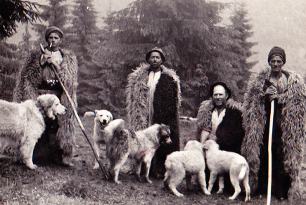 Kelemen-pataki pásztorok