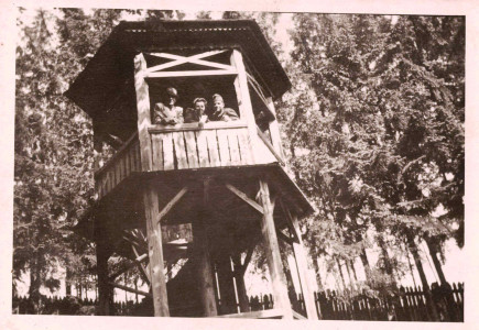 Kilátó