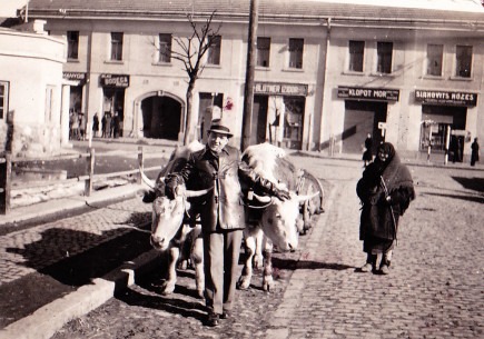 Főtéri fotózkodás