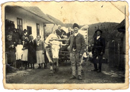Bútorvivés (Nagy Ferenc házasodik)