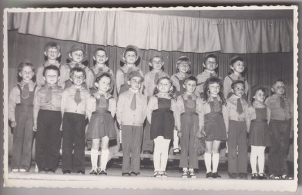 A haza sólymai - Koncsag Zs. gyűjteménye