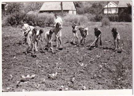 Iskolakertben - L. Adél gyűjteménye