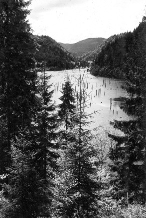 A Gyilkos-tó víztükre. Szilágyi József-album